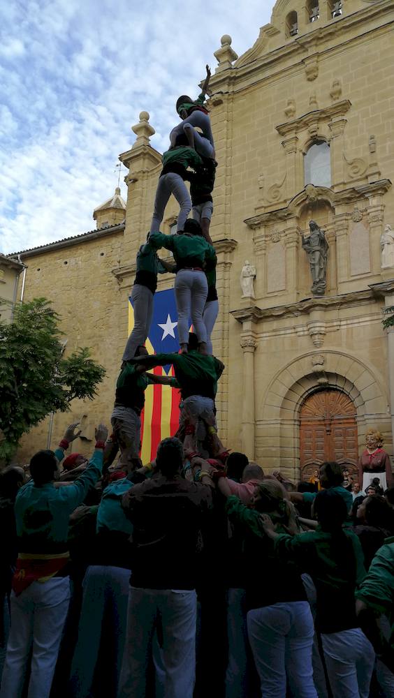 3 3de6xs