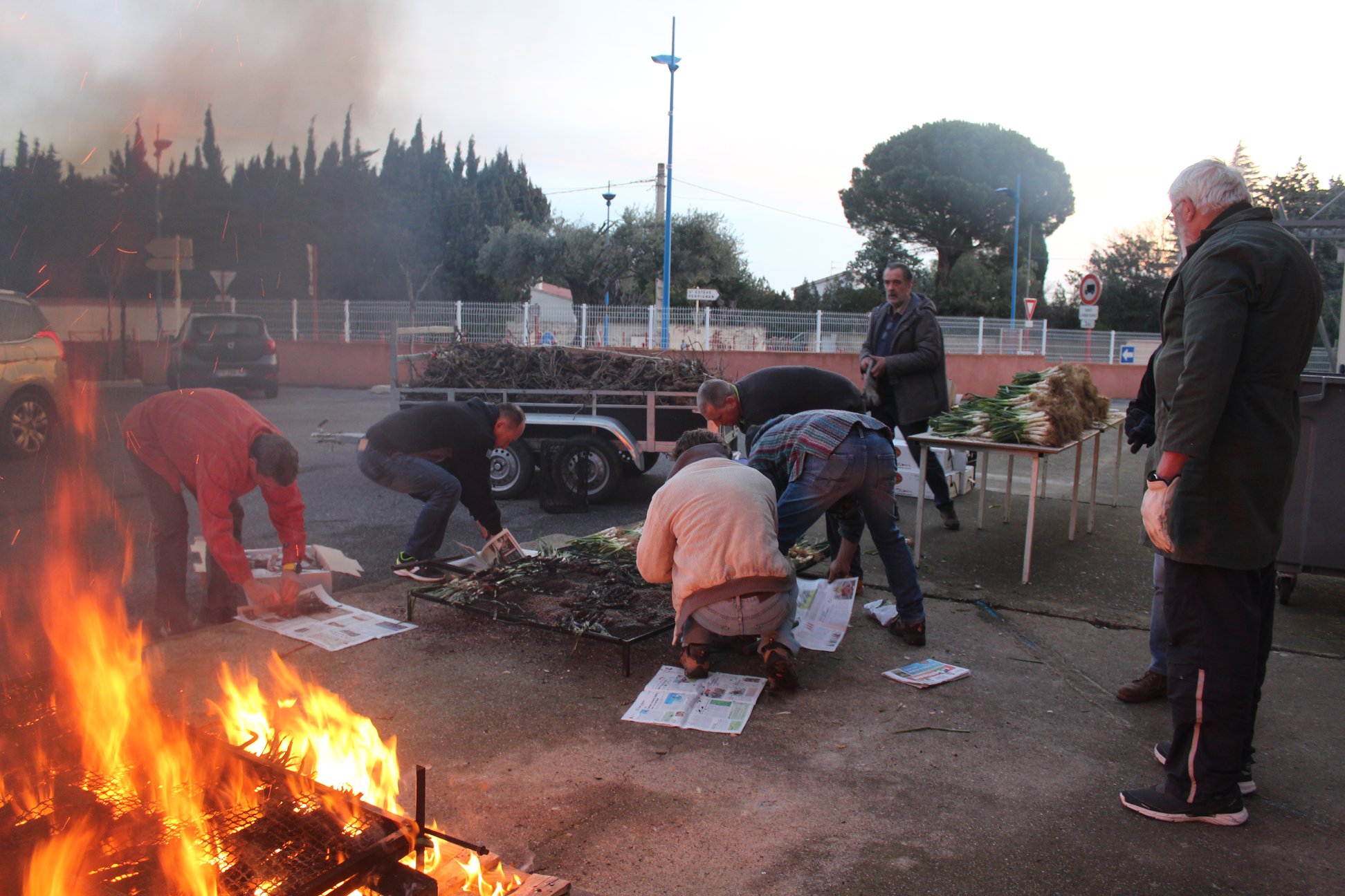 calcots